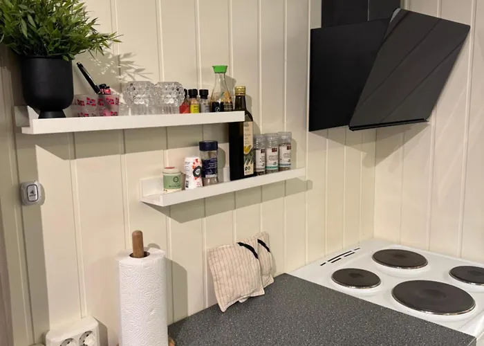 Arctic Tonsvik Lägenhet *